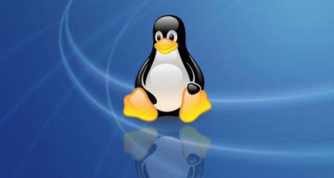 linux下使用ping命令判断网络的好坏-国外主机测评