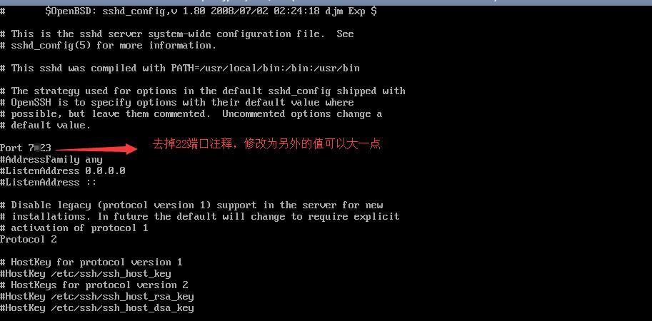Hostwinds 修改SSH端口步骤5