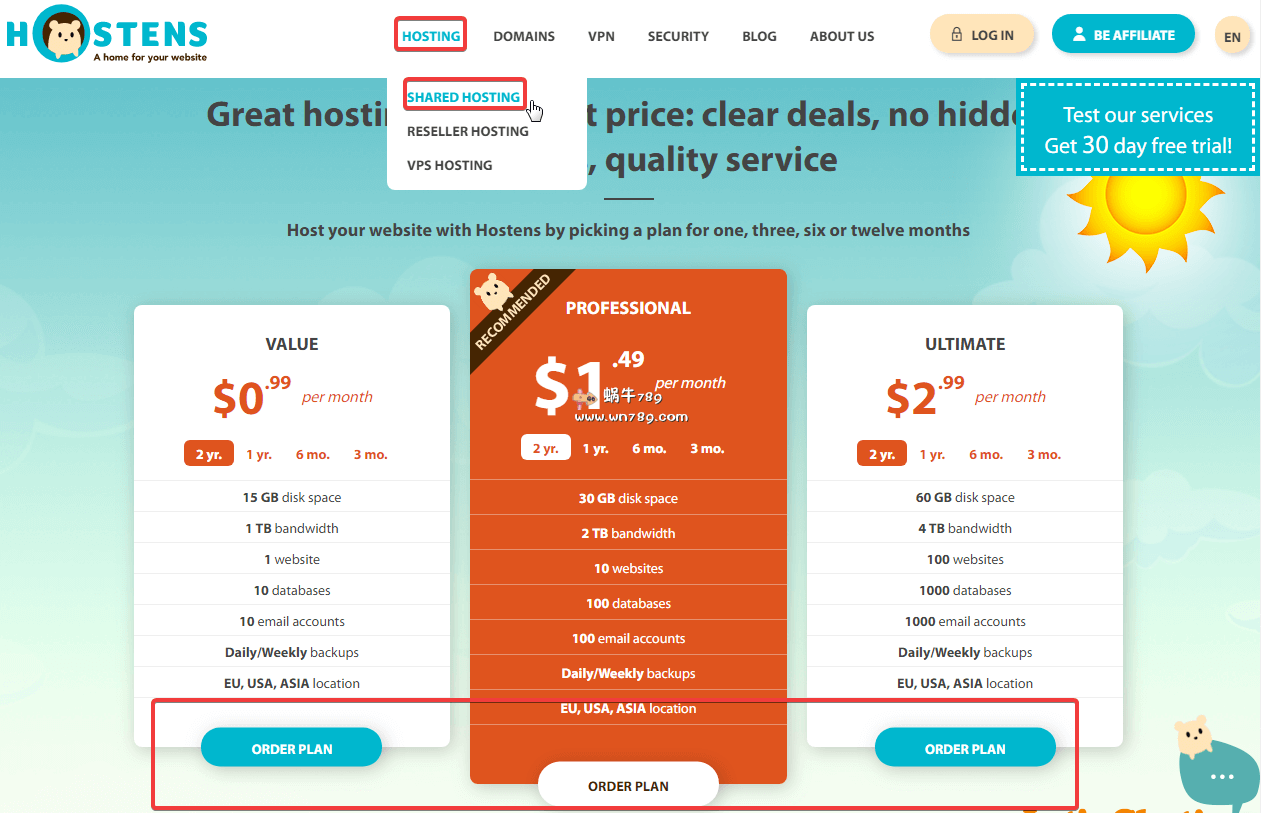 Hostens国外虚拟主机三折，立陶宛/美国/新加坡可选，$12/两年-国外主机测评