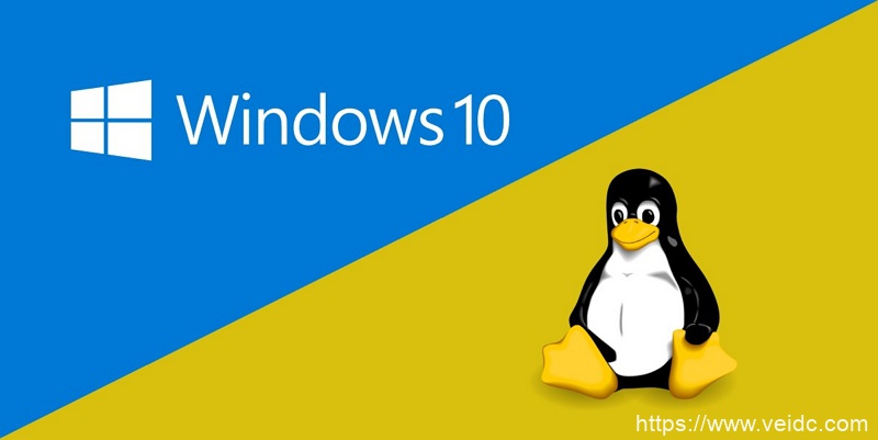 2021年最新Windows 10 Pro for Workstations DD 镜像-国外主机测评