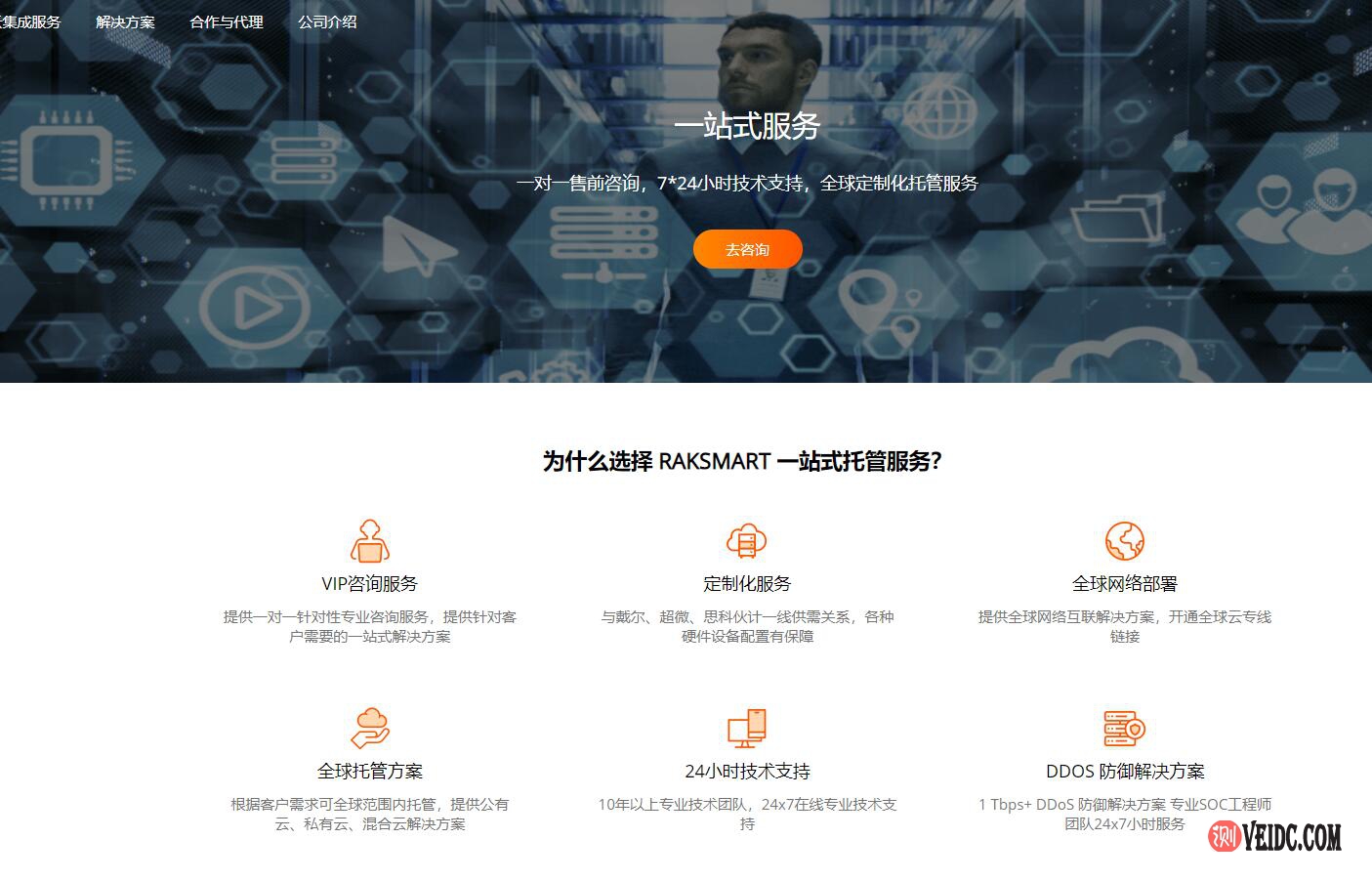 RAKsmart促销：日本258个IP的SEO站群服务器$224/月(国际BGP,大陆优化及精品网可选)-国外主机测评