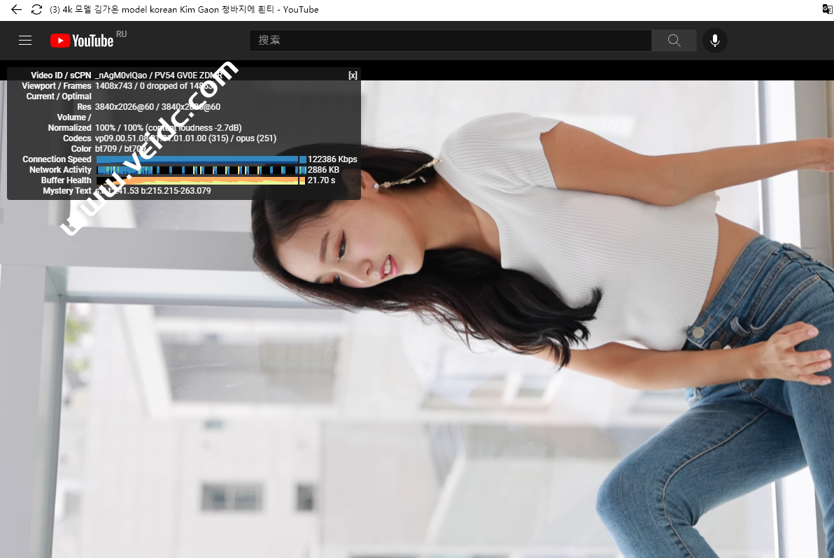 YouTube进度条详细统计信息参数，你了解多少？YouTube视频详细统计信息统计了些什么东西？-国外主机测评