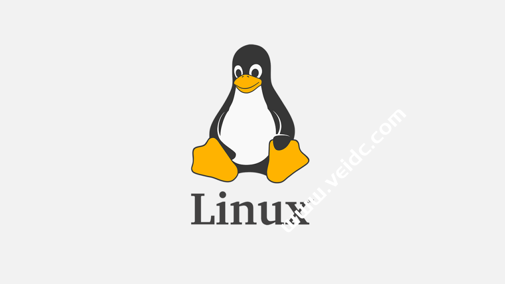 搬瓦工 VPS 硬盘不够用怎么办？如何检查和清理 Linux 系统的磁盘空间-国外主机测评