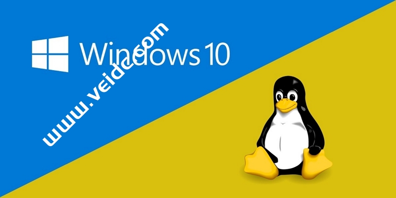 转载：Windows Server 2022 Datacenter DD 镜像-国外主机测评