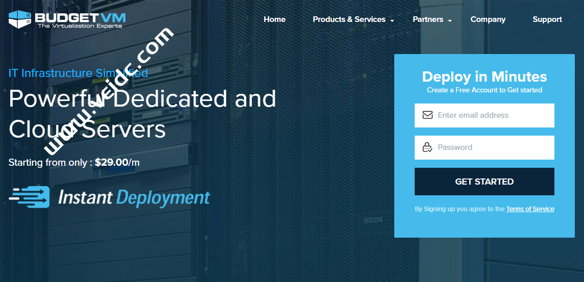 BudgetVM：2核4GB/200GB/100Mbps不限流量/高防云服务器/可选洛杉矶&日本等机房，$29/月起-国外主机测评