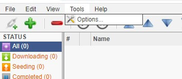 qBittorrent Web 进入选项