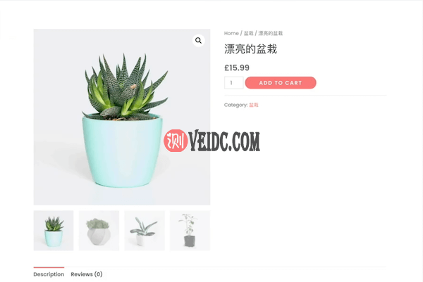 产品页面显示了图片和类别