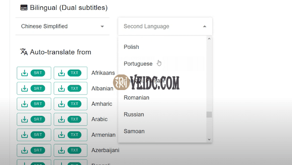 把字幕翻译成其他语言