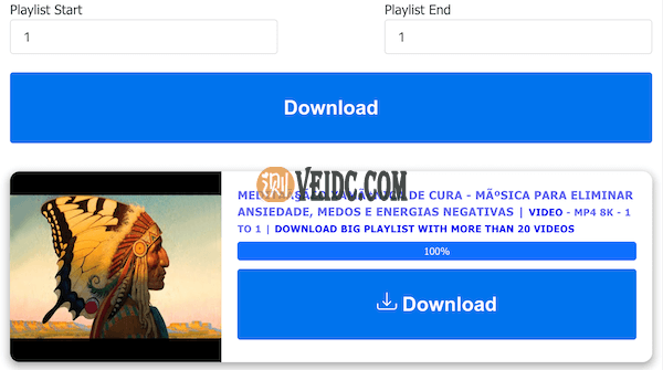 YouTube视频解析完成后即可下载