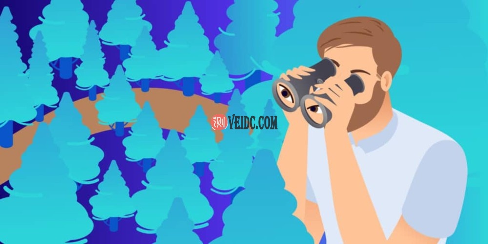 WordPress数据库搜索和替换的四种办法-国外主机测评