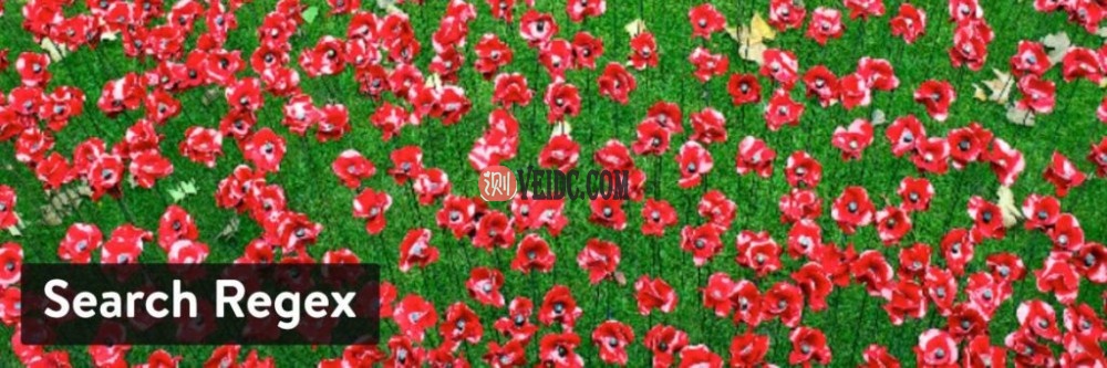 WordPress插件-Search Regex