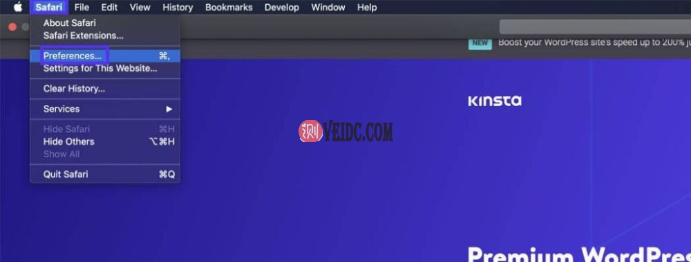 在Safari中打开首选项选项