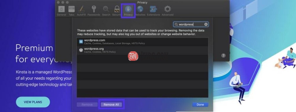 单击按钮从Safari中删除所有cookie