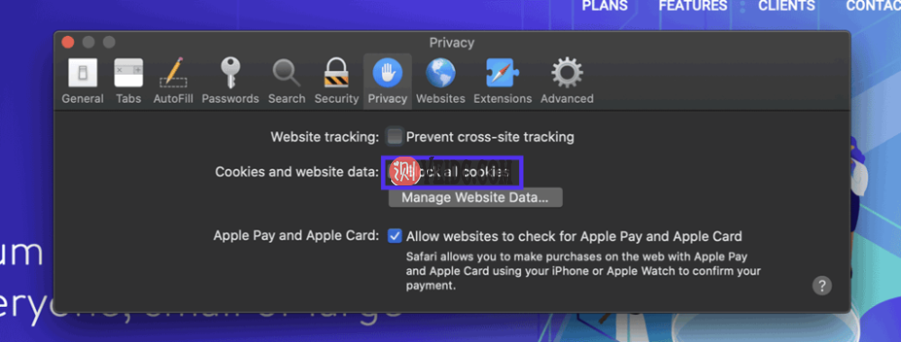 确保Safari没有阻止cookie