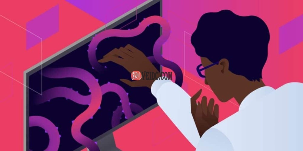 使用MAMP时如何修复“此站点无法提供安全连接”错误-国外主机测评