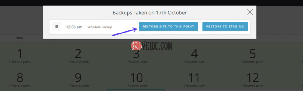 使用WP Time Capsule从备份中恢复WordPress