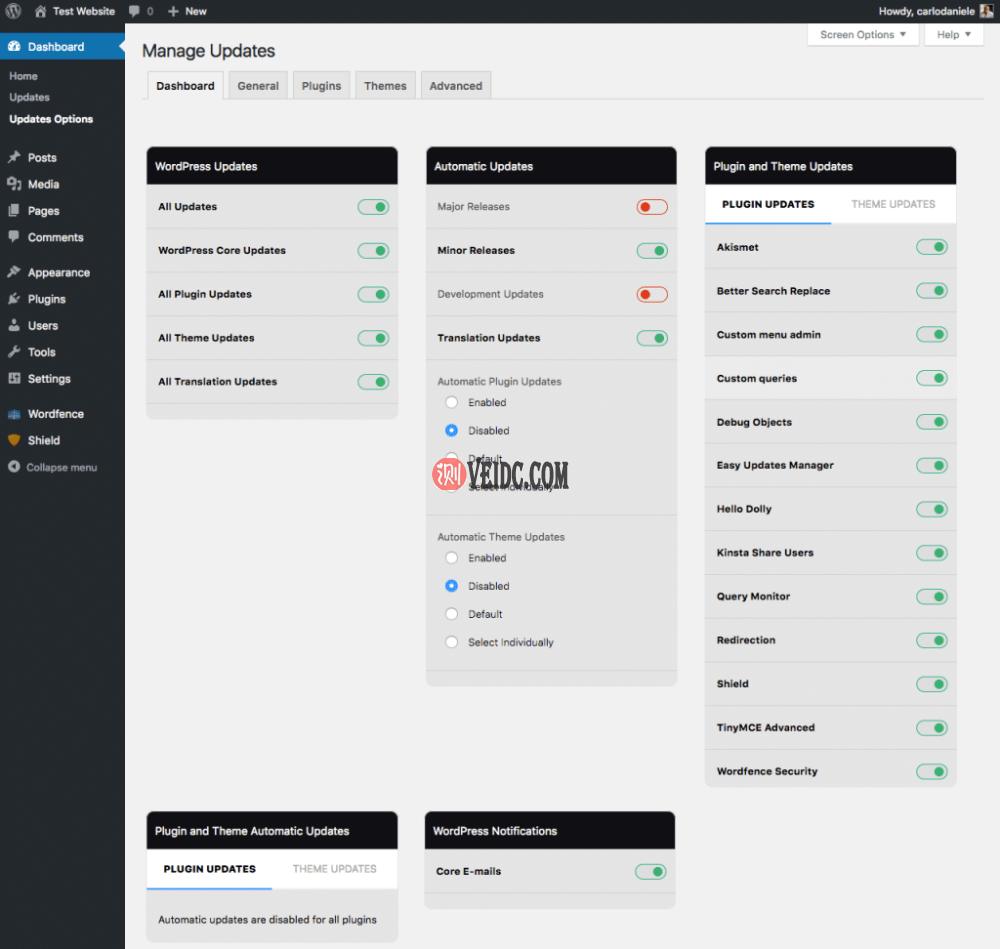 Easy Updates Manager插件
