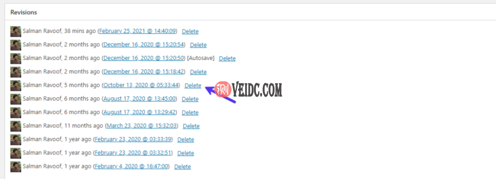 使用“Simple Revisions Delete”插件