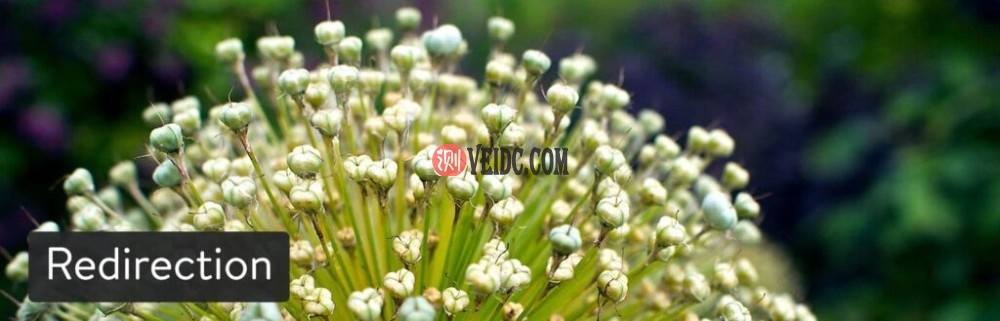 WordPress插件Redirection