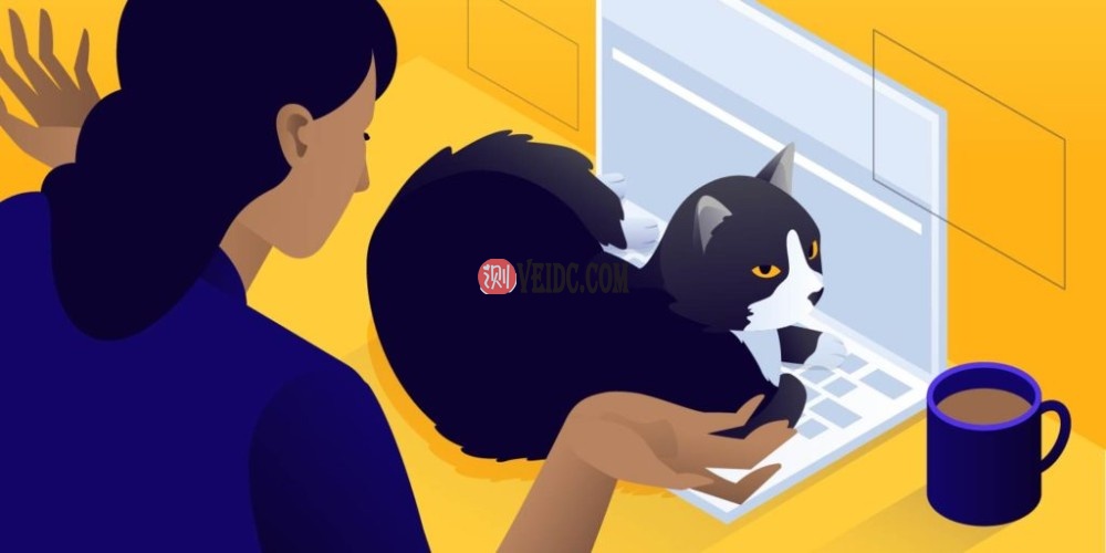 如何禁用WordPress评论留言功能-国外主机测评