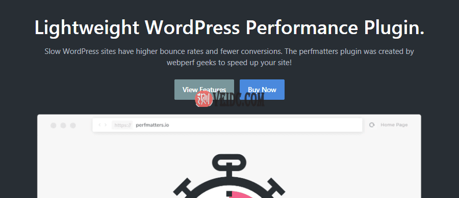 WordPress插件-perfmatters 