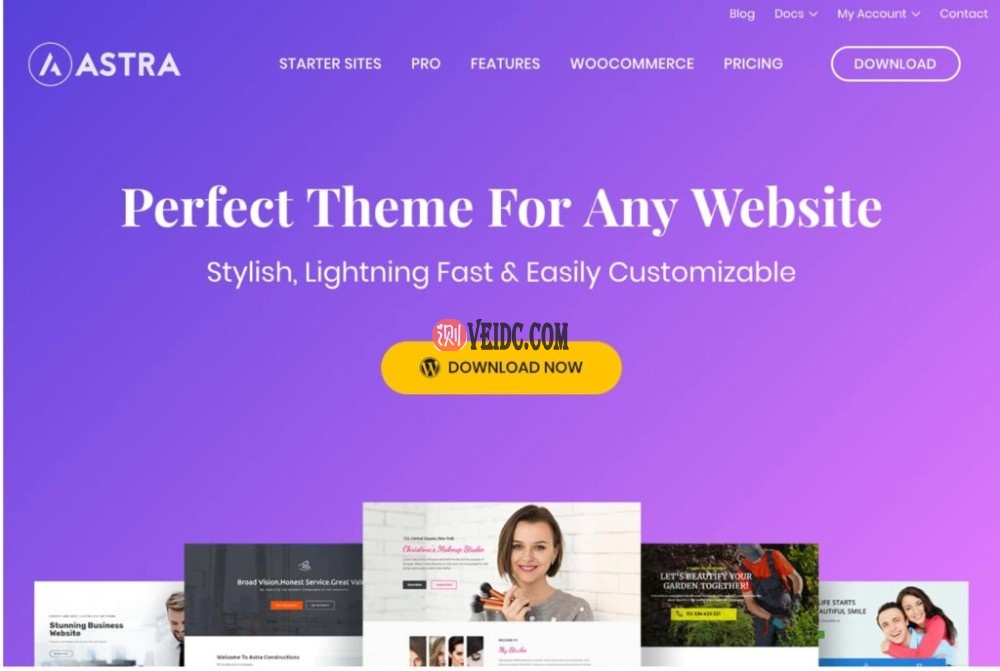 WordPress主题-Astra