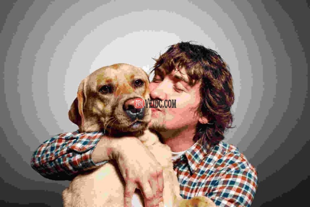 高压缩（低质量）JPG – 68KB