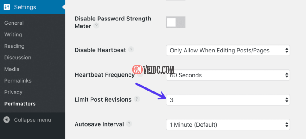 使用Perfmatters插件限制后期修订