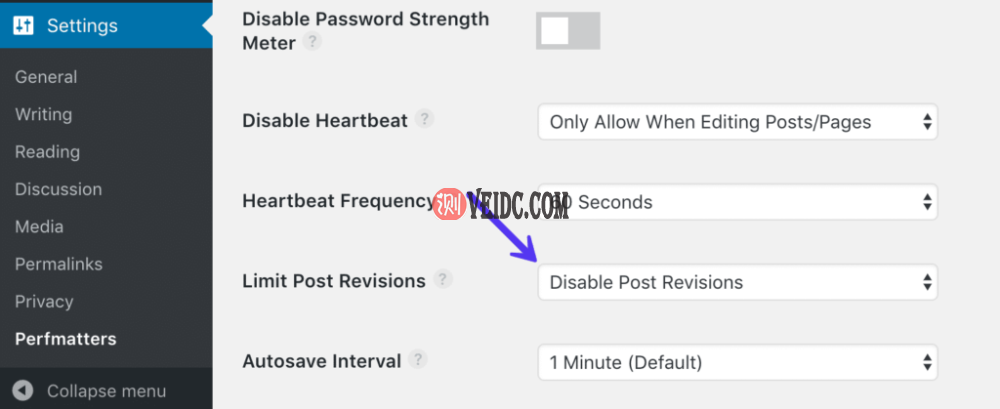 使用Perfmatters插件禁用后期修订