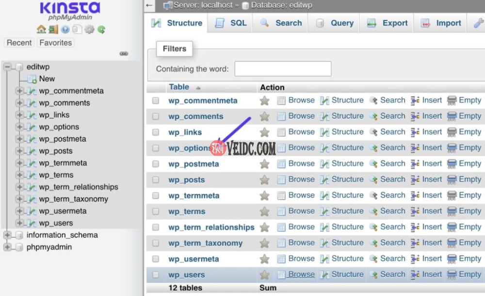 WordPress数据库中的wp_options表