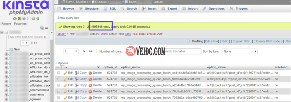 wp_options表中的损坏瞬态