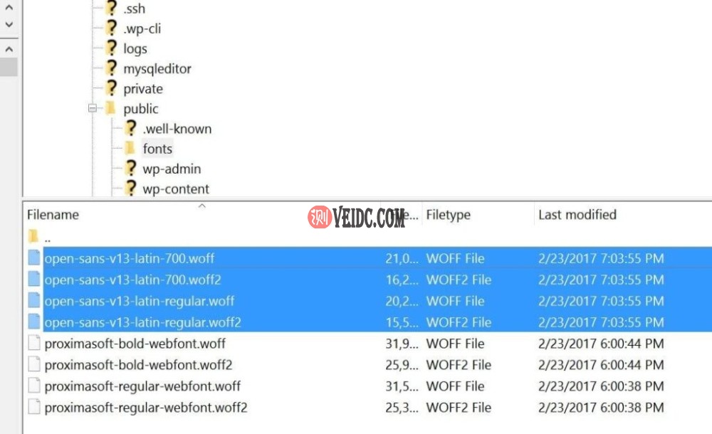 将Google字体上传到网络服务器