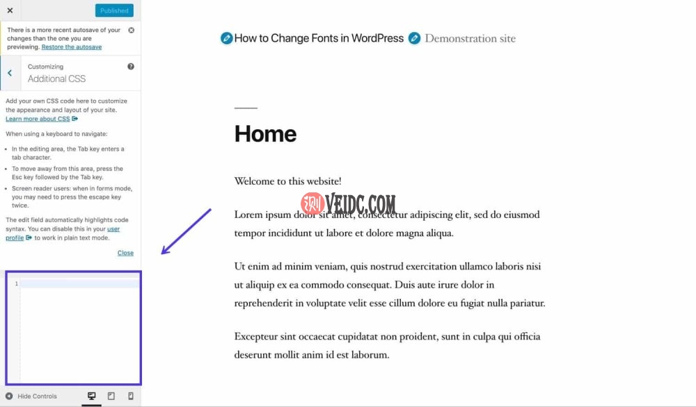 定制器中的额外CSS