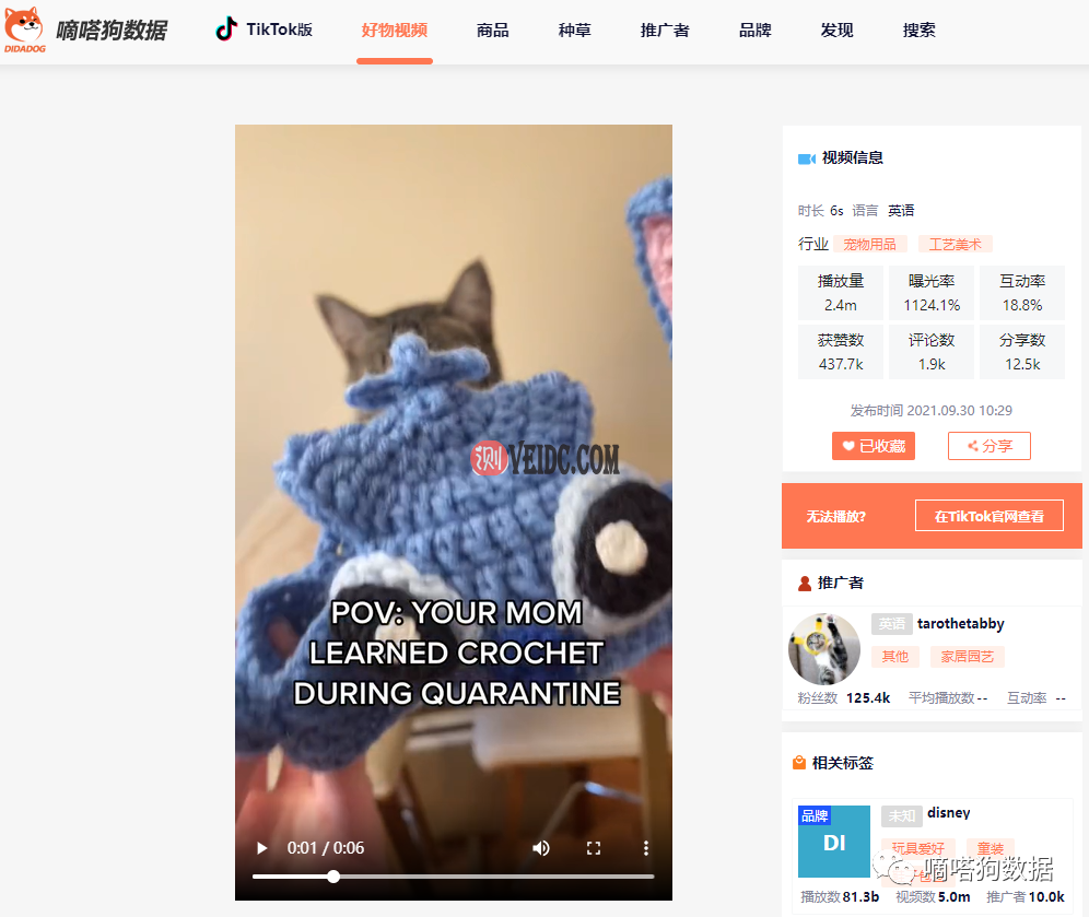 TikTok爆款“针织宠物帽”征服老外，产品火爆到让商家停业赶订单！-国外主机测评