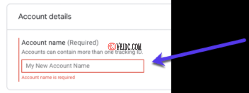 帐户详细信息 – 在 Google Analytics中添加新帐户名称