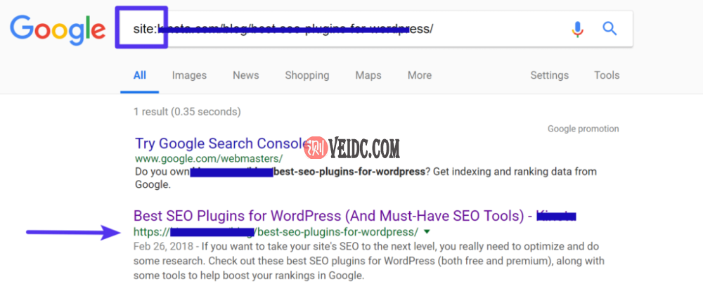 检查Google是否正在将URL编入索引