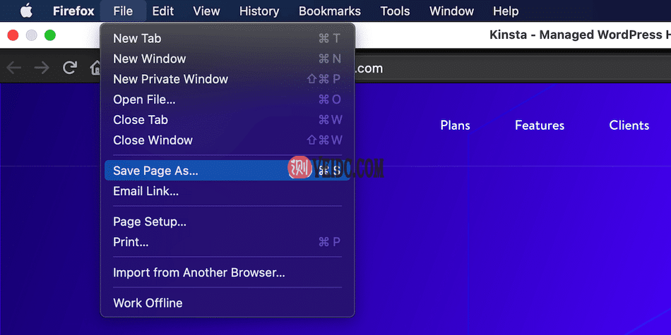 如何存档网站：多种方式建立Web档案的指南-10