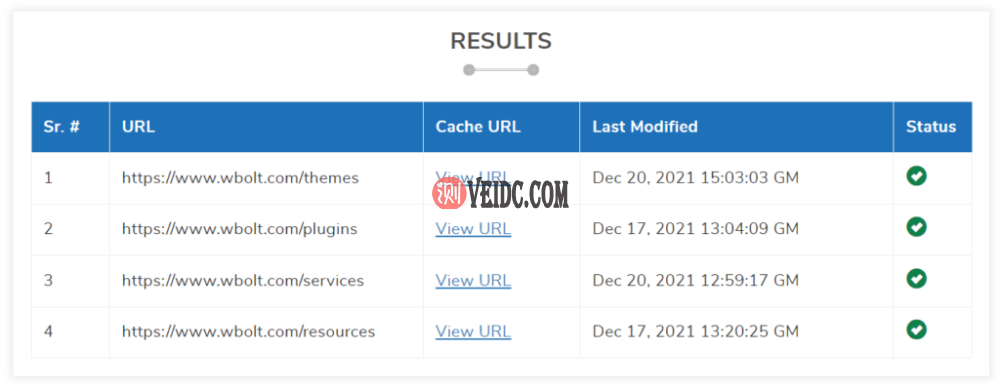 google cache checker