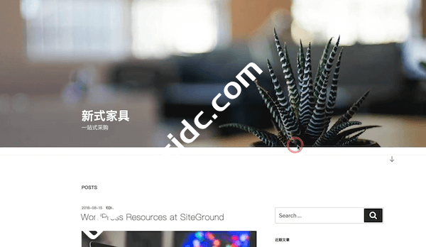 初始WordPress网站外观