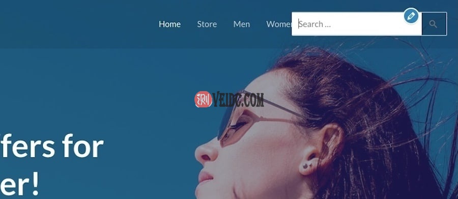 WordPress – 添加了主题设置的搜索栏