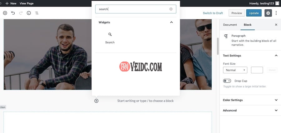 在古腾堡搜索小工具区块