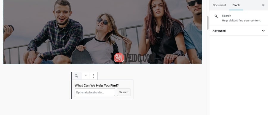 使用古腾堡自定义搜​​索栏