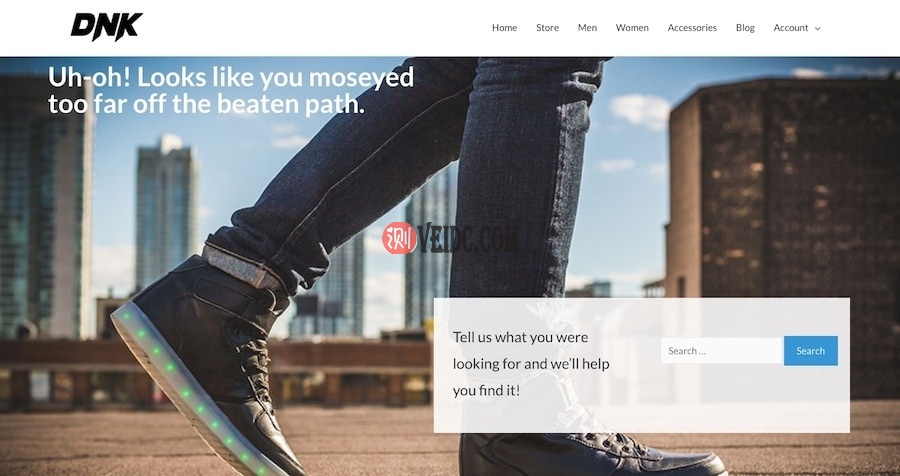 带有搜索栏的404页面示例