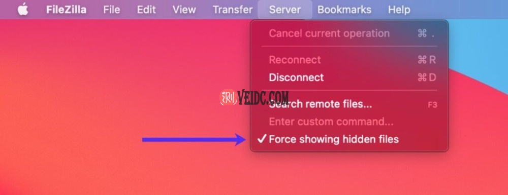 配置FileZilla以显示隐藏文件