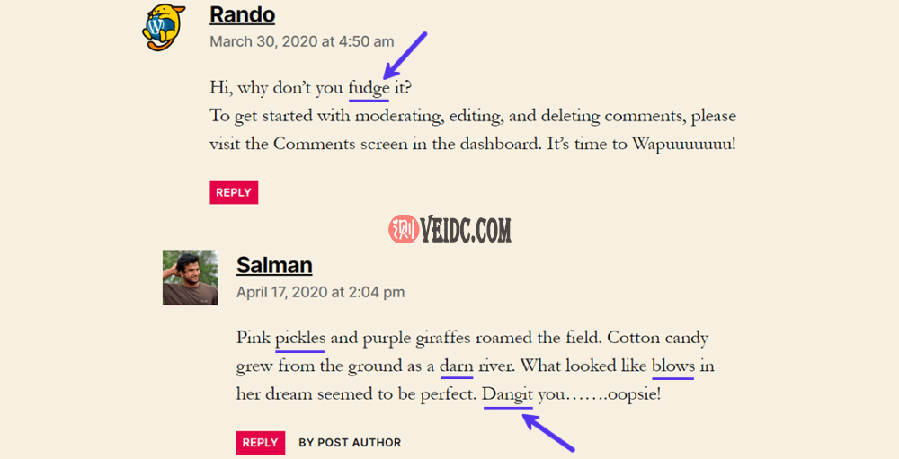 带有敏感词标记的未经过滤的评论