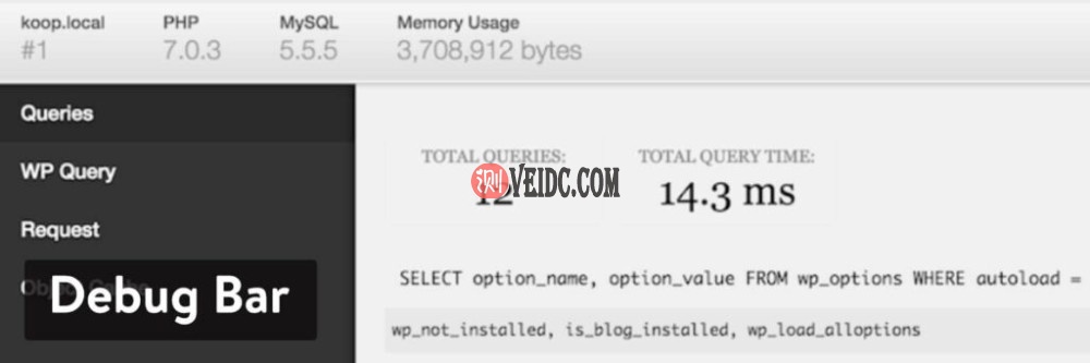 WordPress插件-Debug Bar