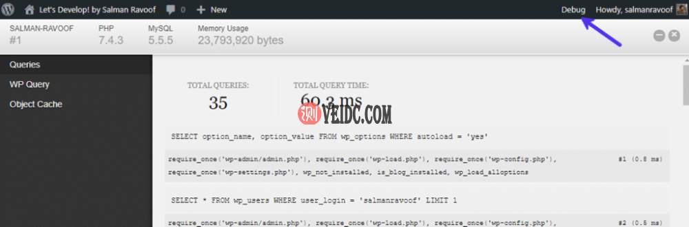 WordPress管理栏中的“Debug”菜单