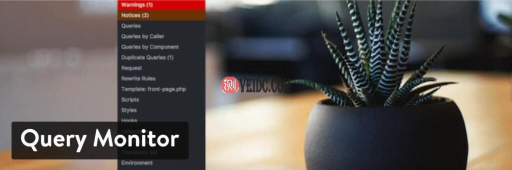 WordPress插件-Query Monitor