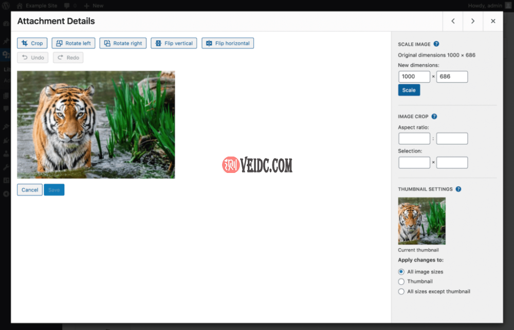 WordPress图像编辑器