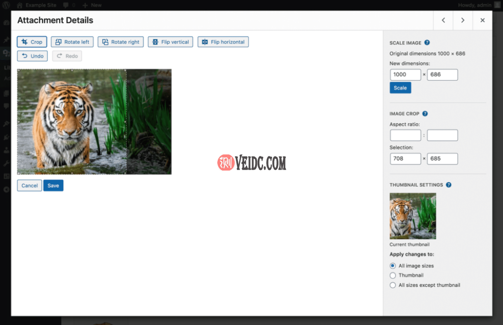 WordPress中的图像裁剪